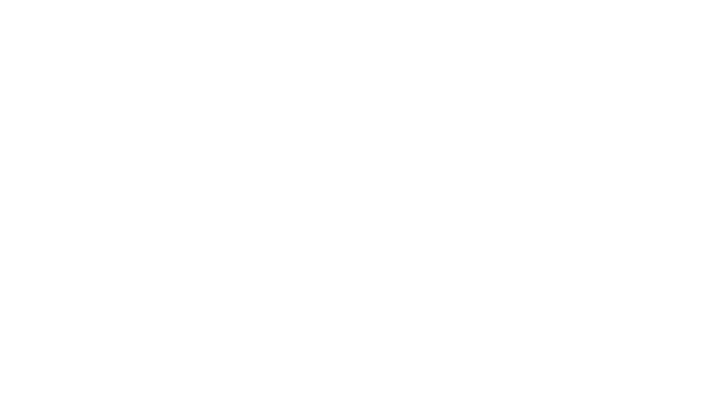Breachers