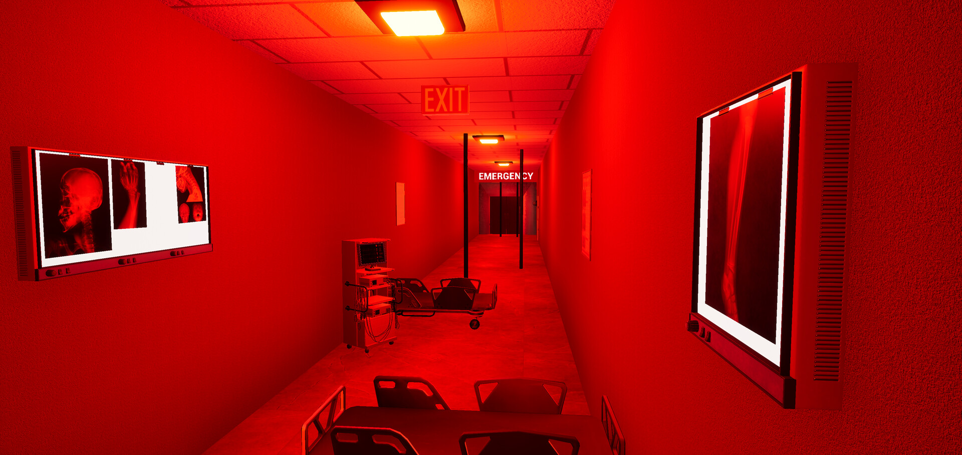 BrVR Backrooms Virtual Reality #8