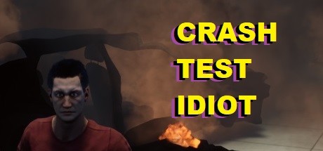 CRASH TEST IDIOT Cover Image
