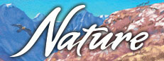 Nature Game System