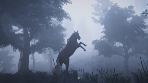 Horse and Go Seek (Perfil Gamer) Download Horse and Go Seek