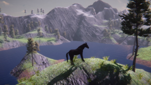 Horse and Go Seek (Perfil Gamer) Download Horse and Go Seek