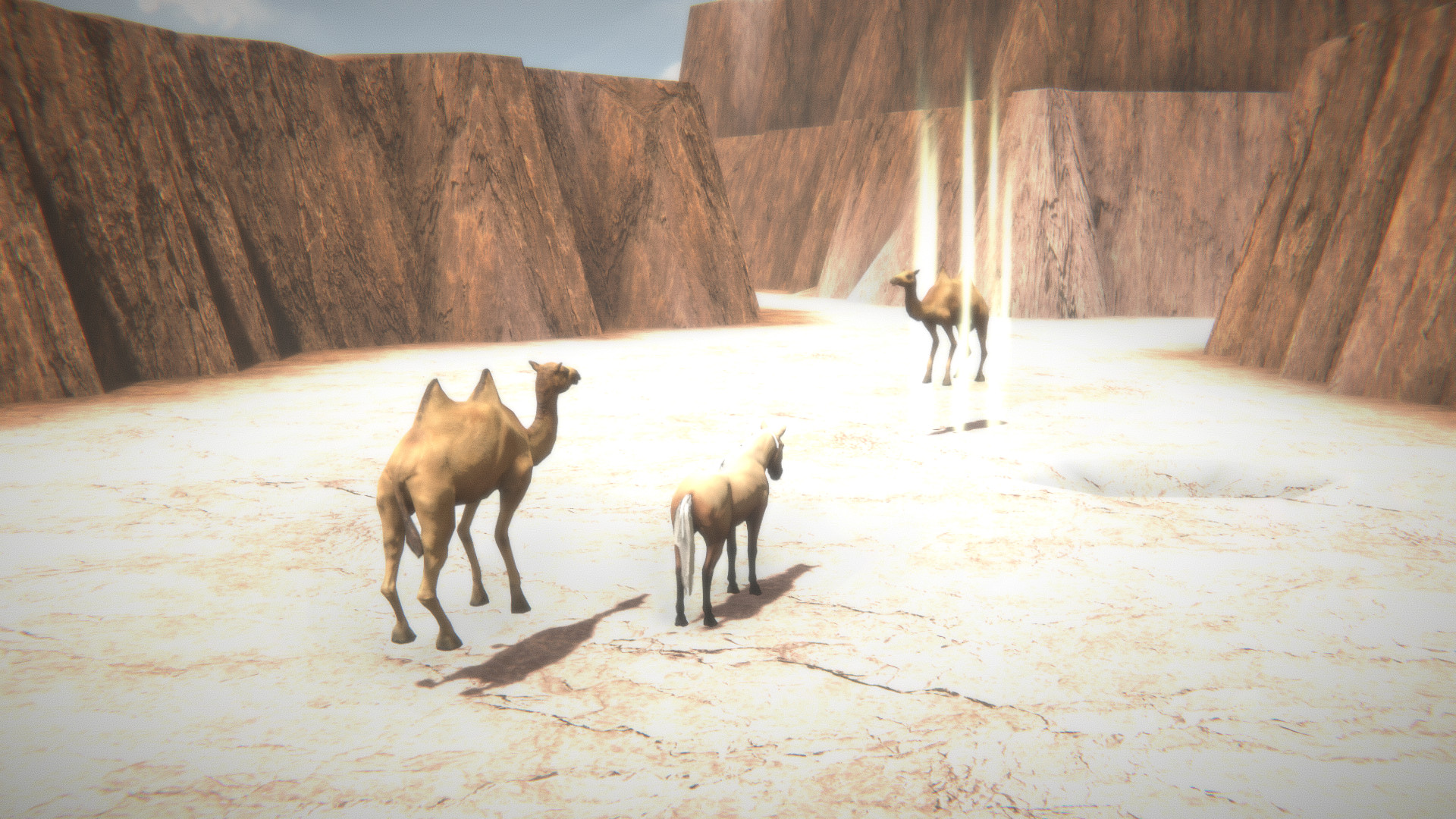 Horse and Go Seek #5