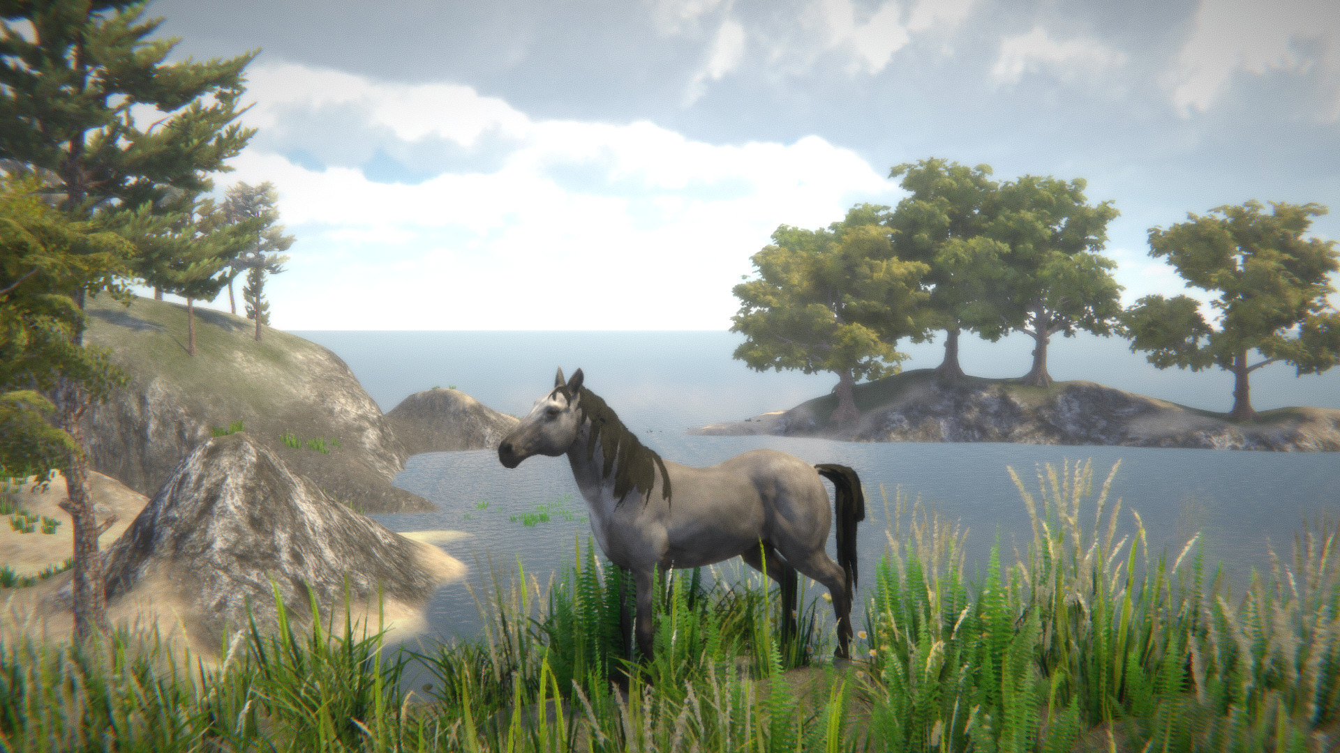 Horse and Go Seek Free Download