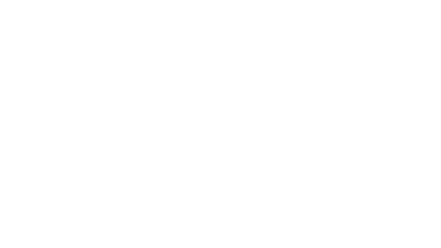 Lost Skies