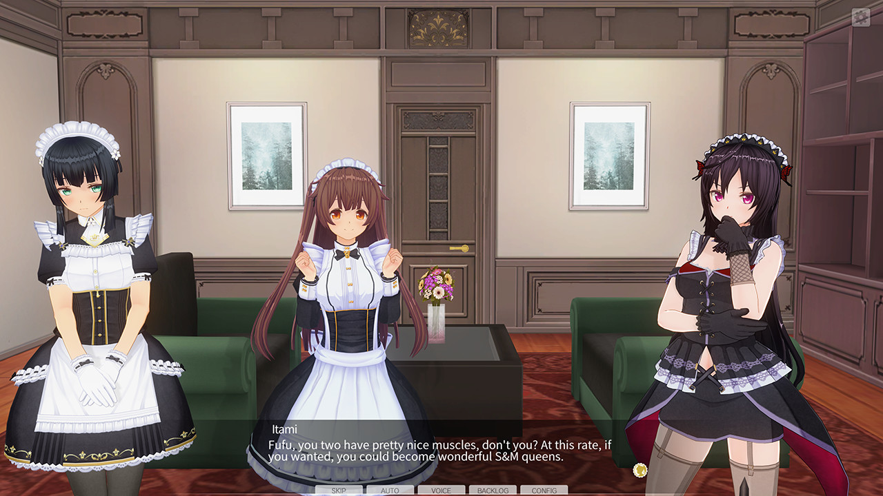 CUSTOM ORDER MAID 3D2 The Extreme Sadist queen who arouses the hearts of masochists #4