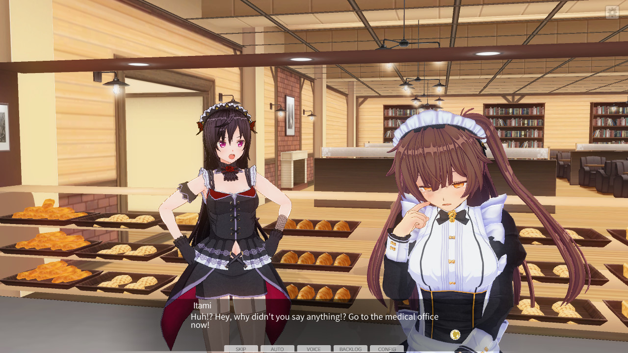 CUSTOM ORDER MAID 3D2 The Extreme Sadist queen who arouses the hearts of masochists GP-01 #4