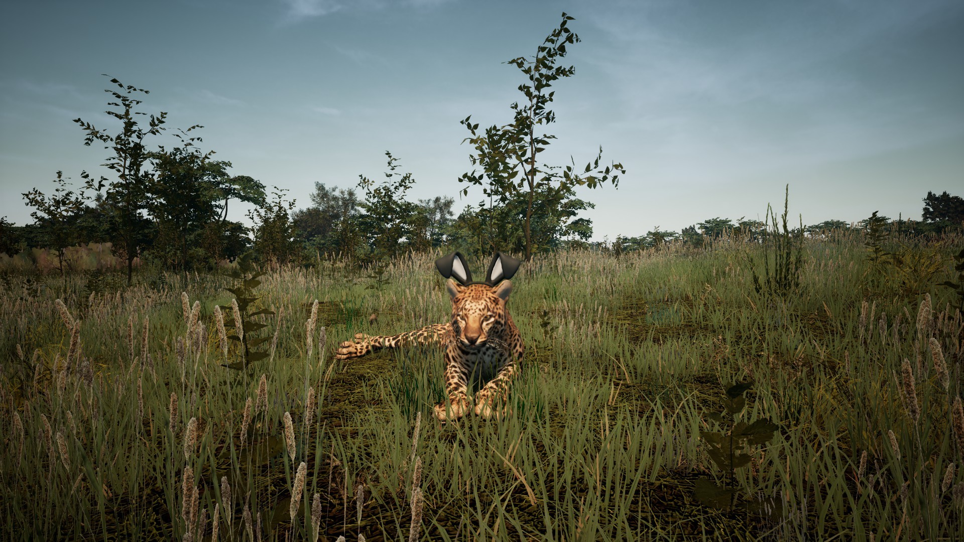 Animalia Survival on Steam