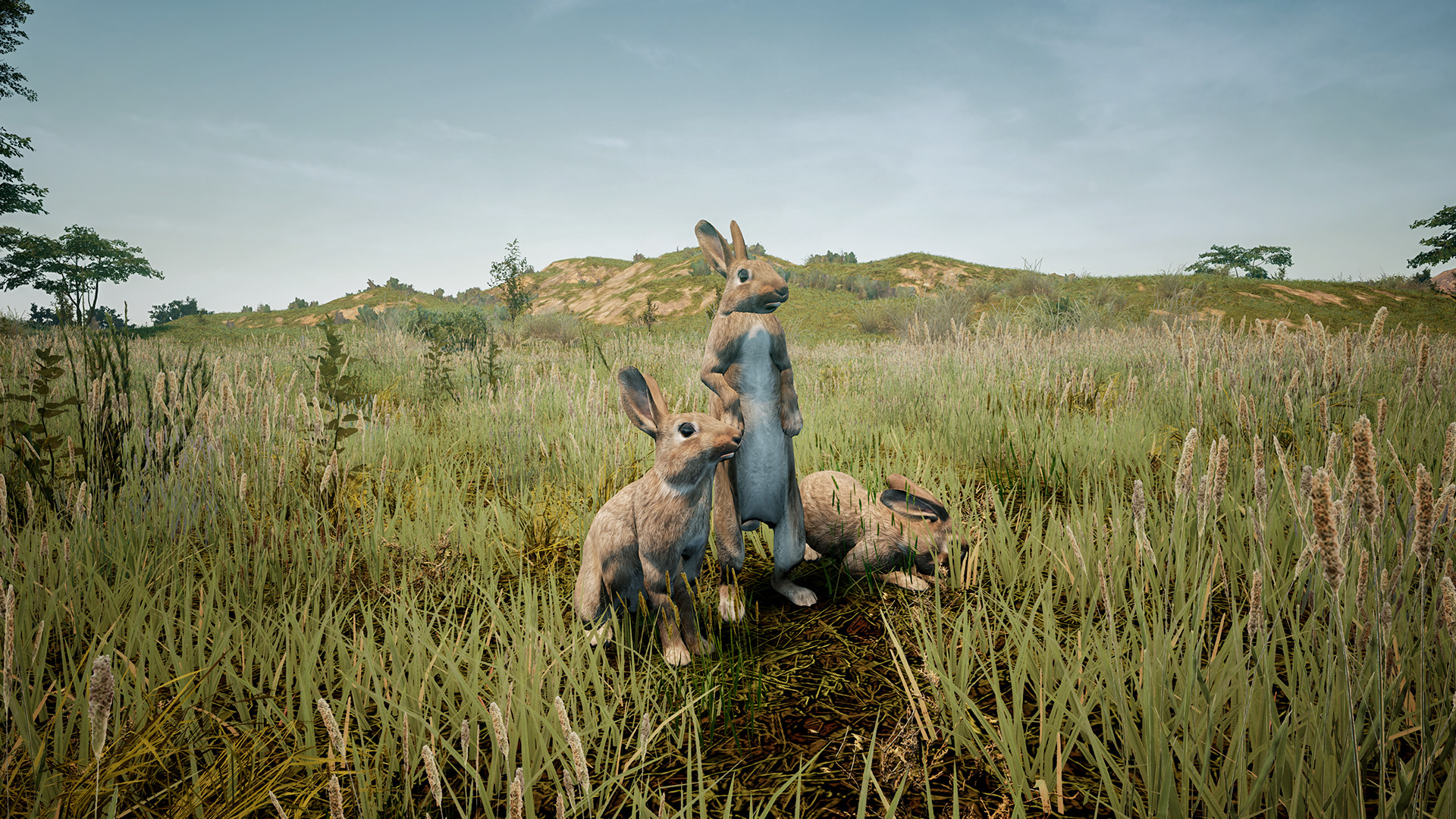 Animalia Survival on Steam