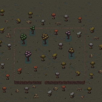 THE THRESHOLD DWELLER