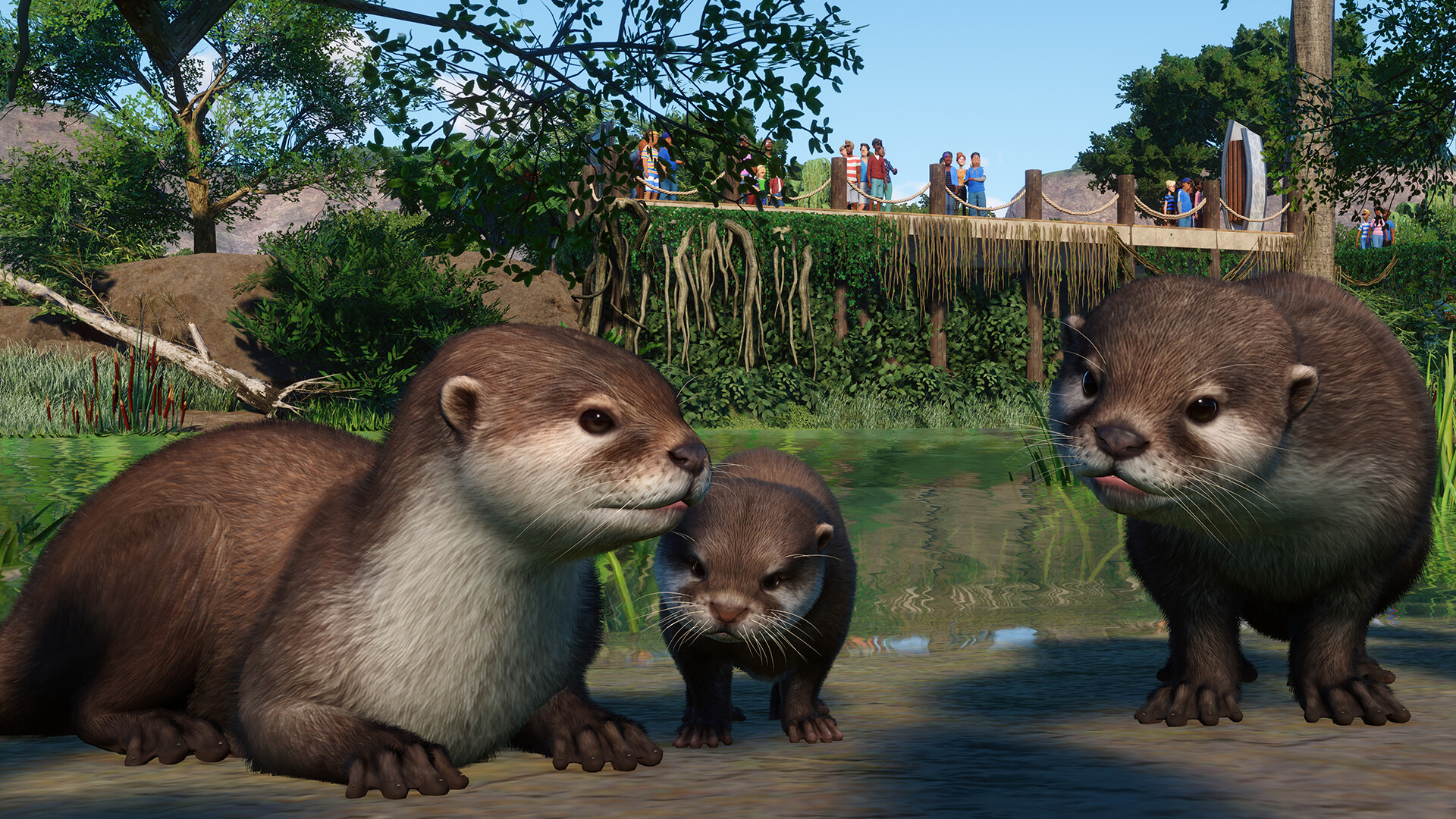 Planet Zoo: Wetlands Animal Pack de Frontier Developments — avis et ...