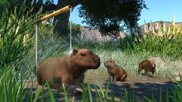 Planet Zoo: Wetlands Animal Pack for steam Planet Zoo: Wetlands Animal Pack for steam