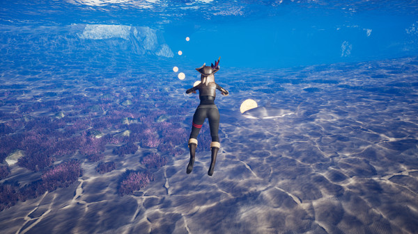 Скриншот из Epic Pirate