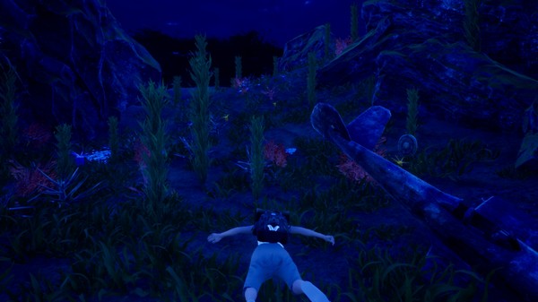 Скриншот из HRD 3 Pegasus Island