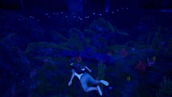 Скриншот из HRD 3 Pegasus Island