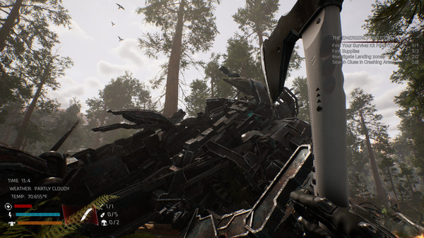 Скриншот из The Nightmare Catcher