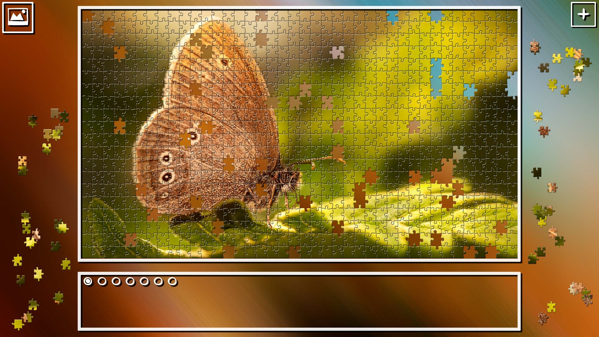 Butterfly - Jigsaw Puzzles Online