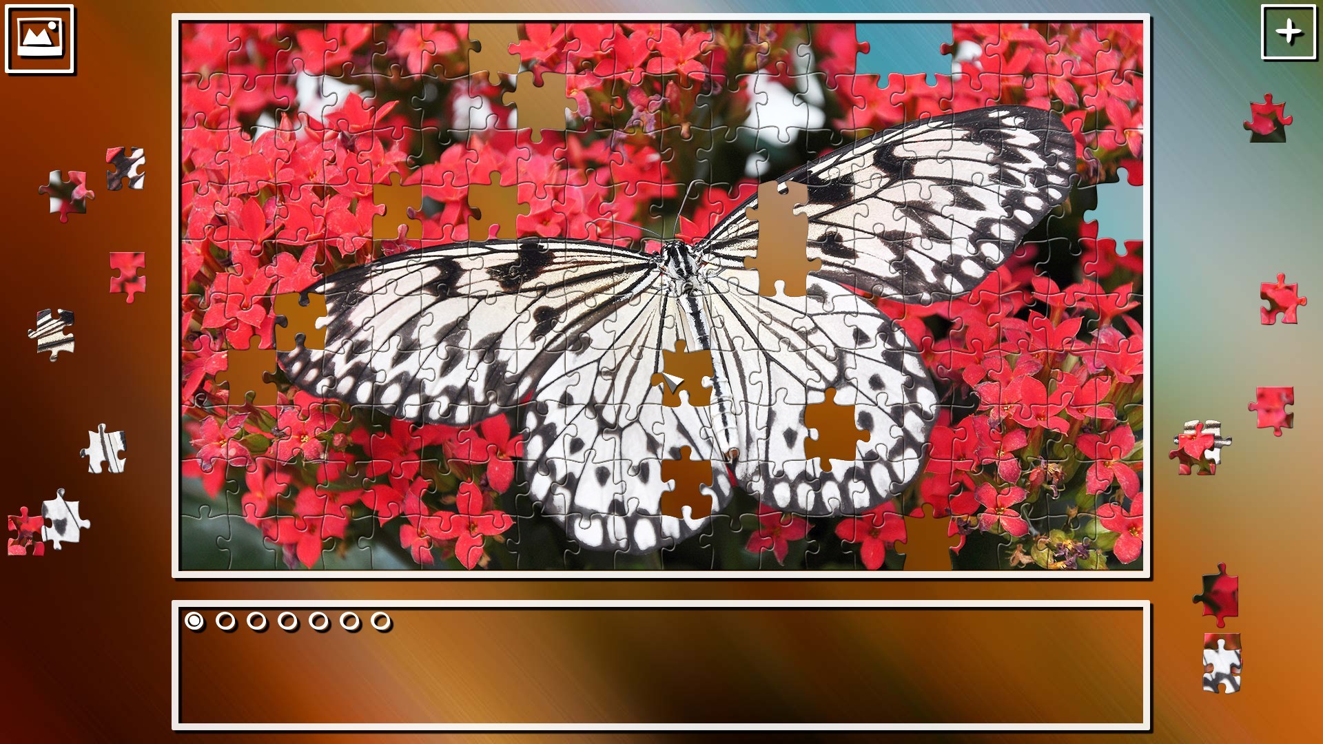 Butterfly - Jigsaw Puzzles Online