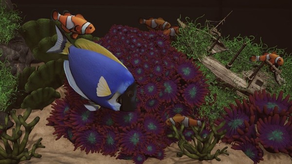 Aquarium Designer – Sea Life Aquarium Designer – Sea Life