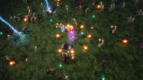 Скриншот из Wizards of Chaos