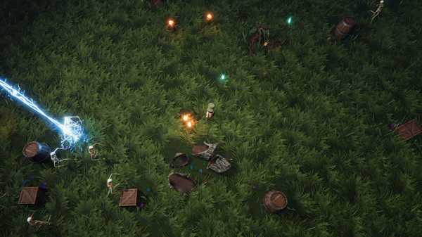 Скриншот из Wizards of Chaos