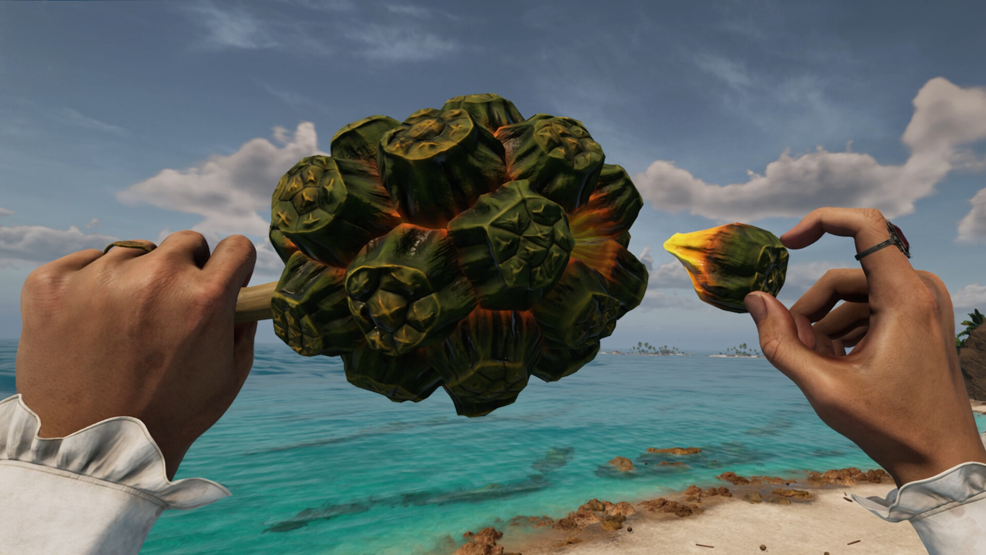 Bootstrap Island #11