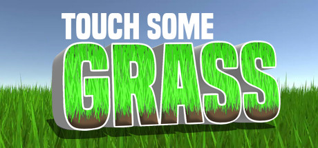 If I Touch Grass The Video Ends