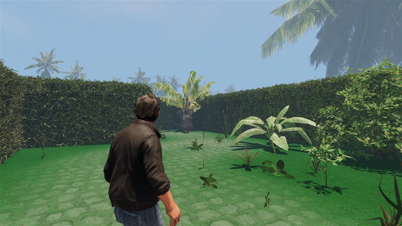 maze to the old castle #12