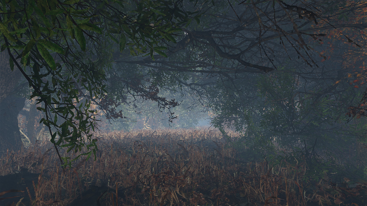 maze to the old castle #20