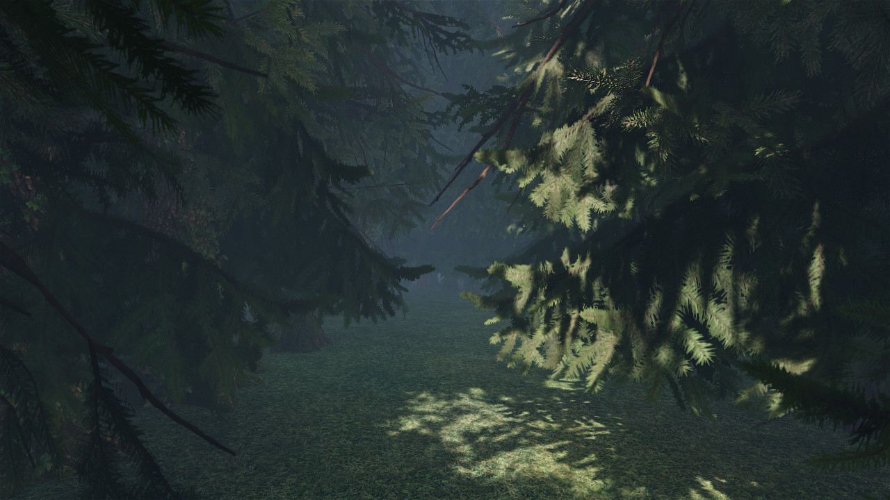 maze to the old castle #23