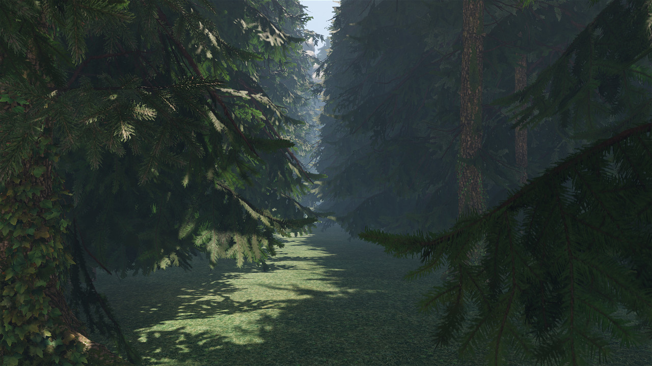 maze to the old castle #21