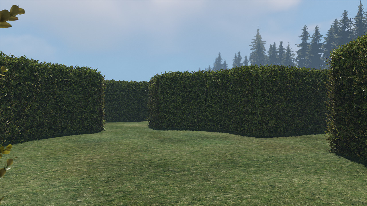 maze to the old castle #43