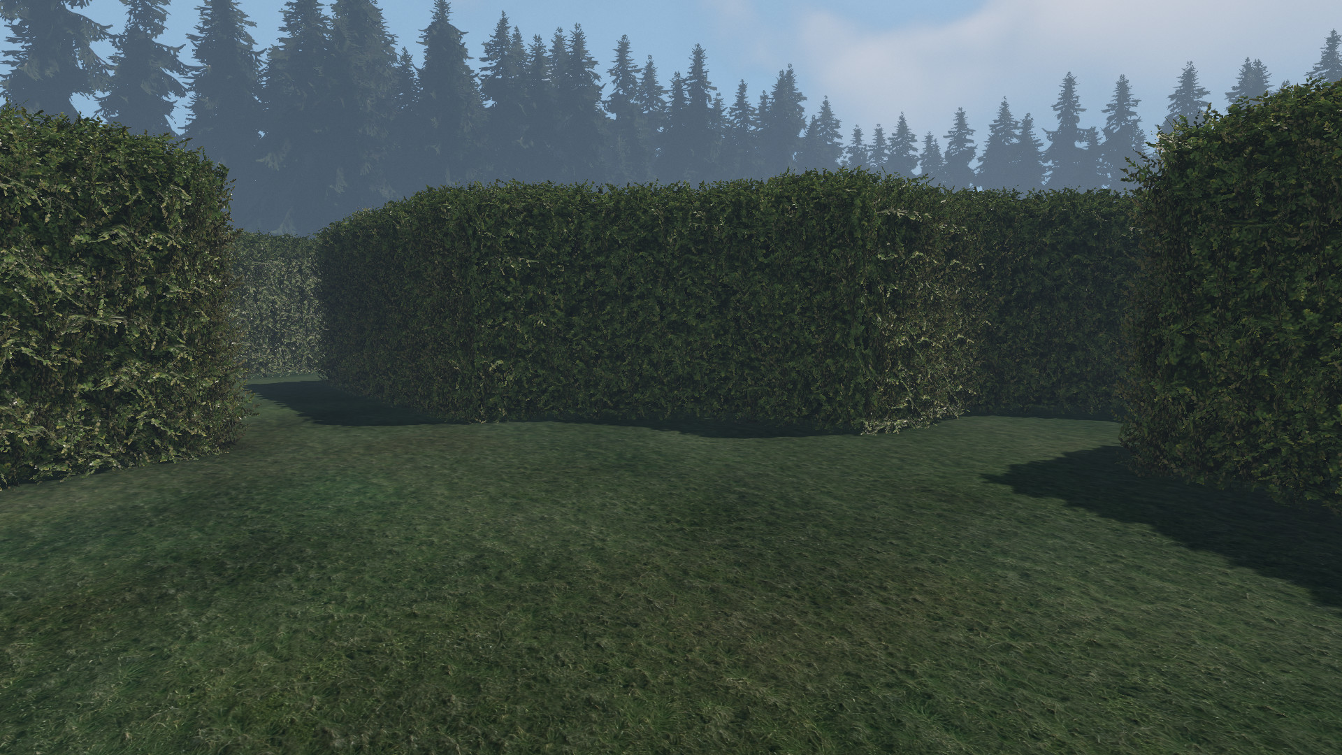 maze to the old castle #35