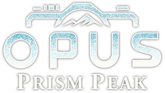 Library Logo - Game logo for library