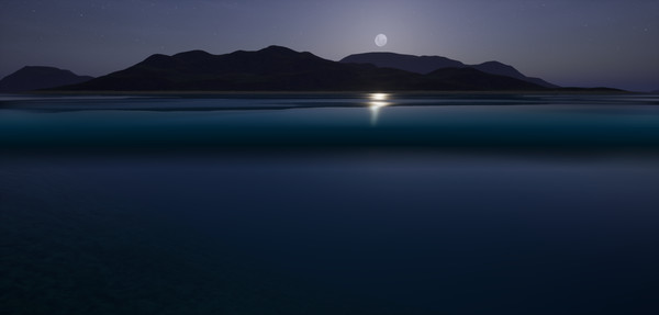 Скриншот из Researchity Open World Survival Game