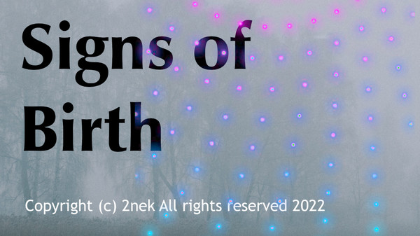 Скриншот из Signs of Birth