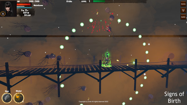 Скриншот из Signs of Birth