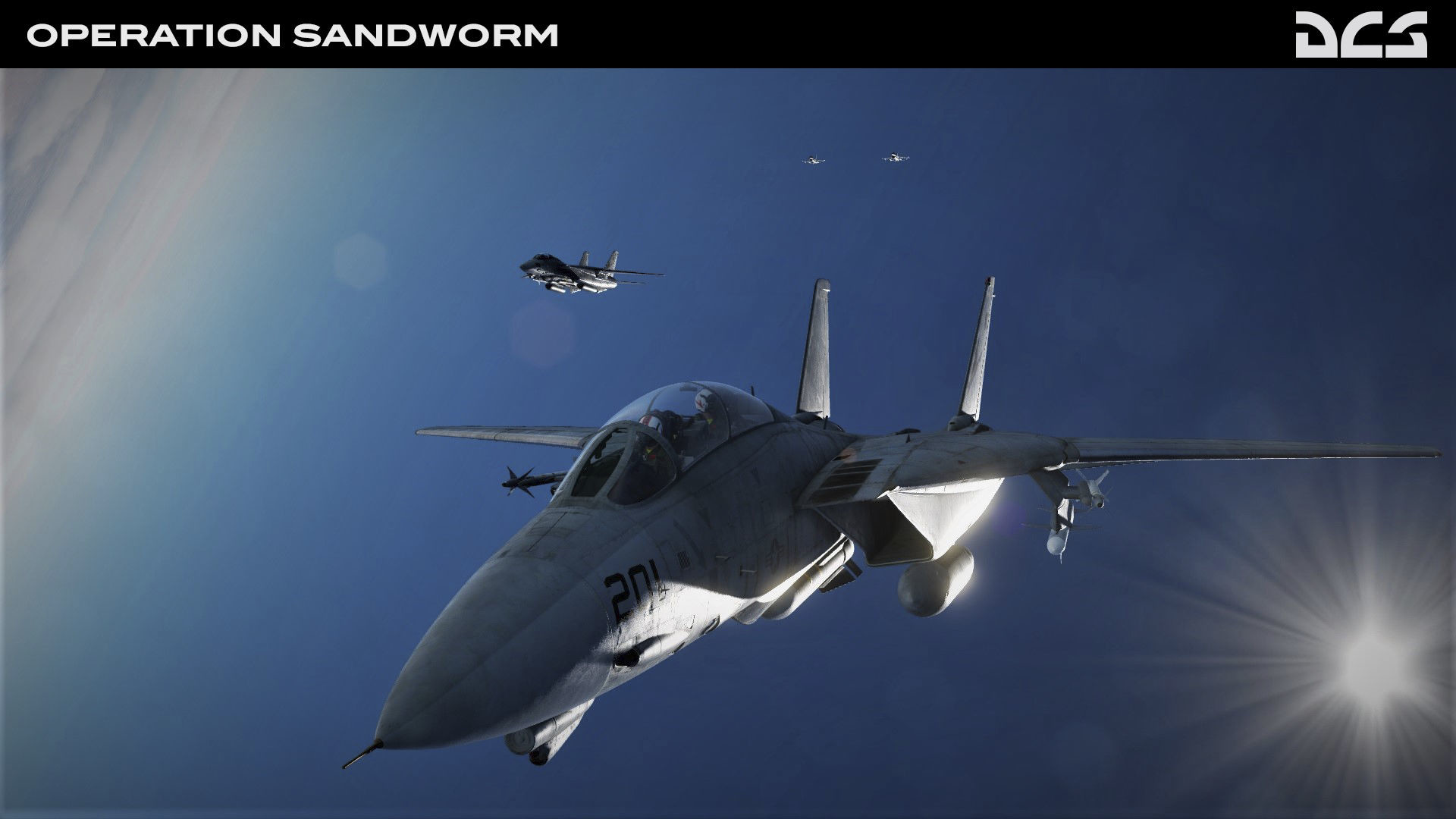 DCS: F-14B Operation Sandworm Campaign #8