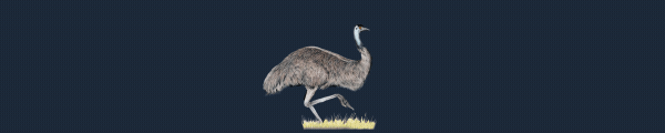 OE_Emu.gif?t=1702403167