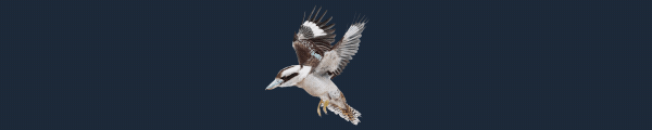 OE_Laughing_Kookaburra.gif?t=1702403167