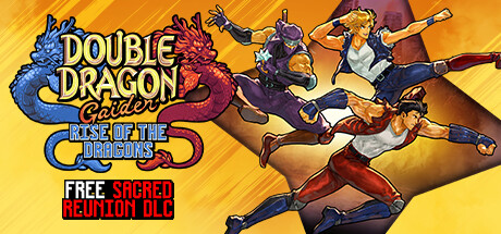 Double Dragon Gaiden: Rise Of The Dragons Cover Image