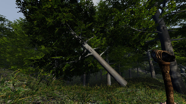 Скриншот из Forlorn