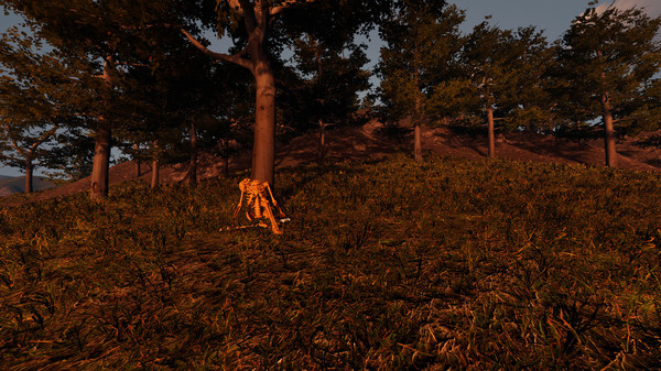 Скриншот из Forlorn