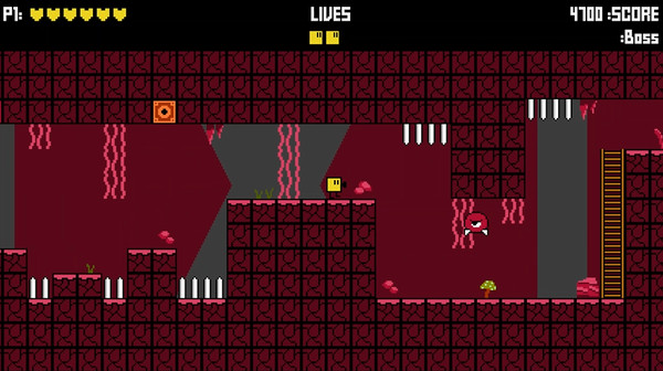 Blickelfor windows and Linux 1