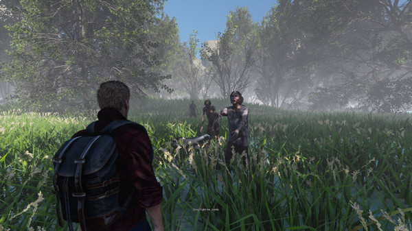 DecayZ Originfor windows and Linux 1