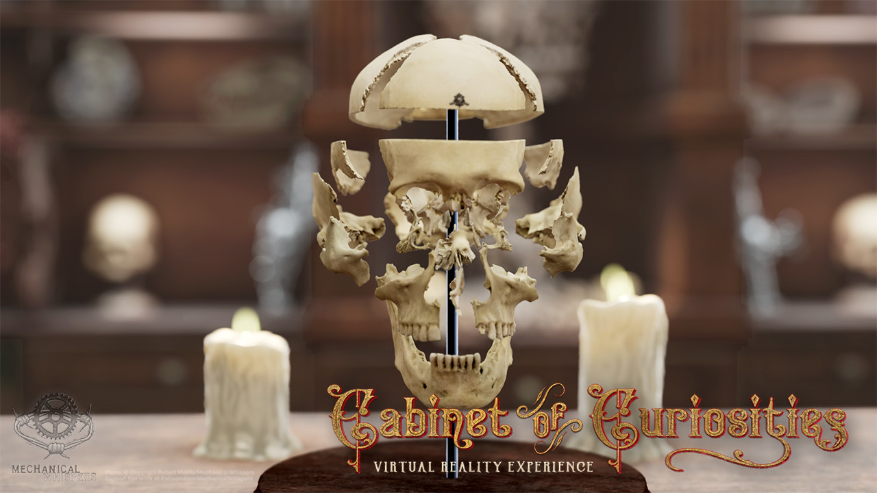 Cabinet of Curiosities VR #4