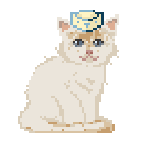 pokey.gif?t=1702368135