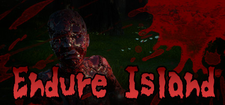 Endure Island Cover Image