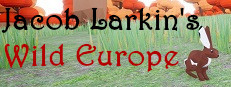 Jacob Larkin's Wild Europe 게임 이미지
