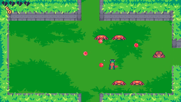 Frog lands